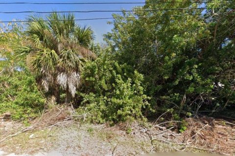 Land in Punta Gorda, Florida № 2165048 - photo 3