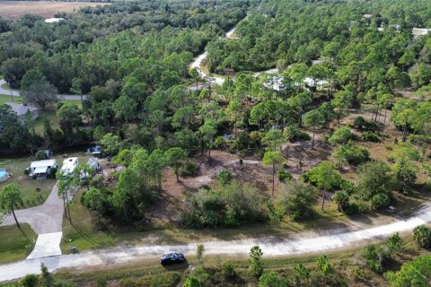 Terrain à vendre à Punta Gorda, Floride № 2202967 - photo 4