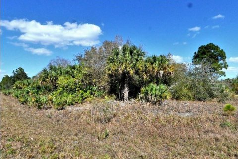 Land in North Port, Florida № 2211233 - photo 2