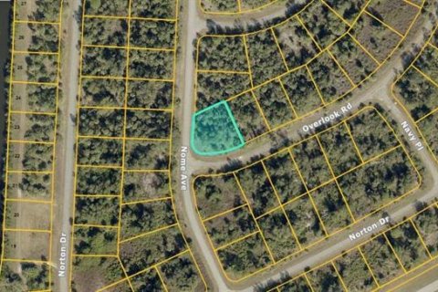 Land in North Port, Florida № 2211233 - photo 3
