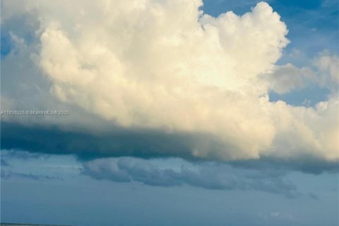 Купить кондоминиум в Холливуд, Флорида 45.24м2, № 1935476 - фото 7