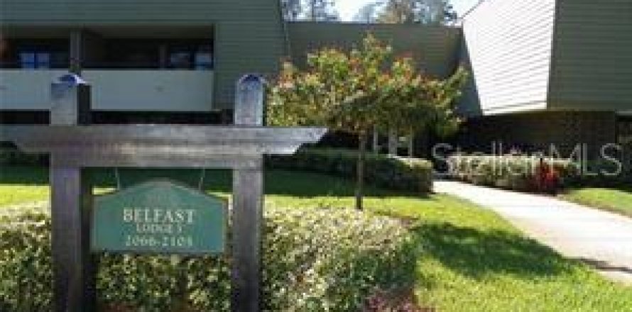 Condo à Palm Harbor, Floride, 1 chambre № 1883020