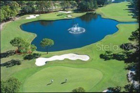 Condo in Palm Harbor, Florida, 1 bedroom  № 1883020 - photo 12