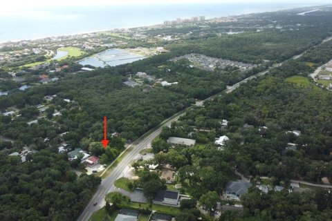 Land in Palm Coast, Florida № 2231831 - photo 4