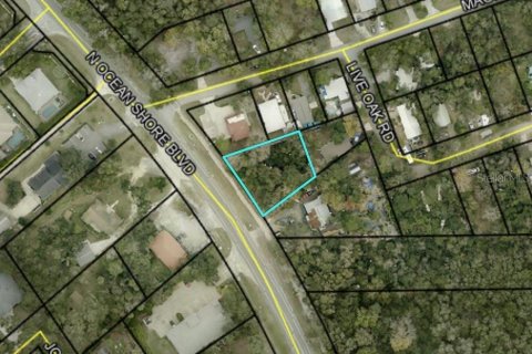 Land in Palm Coast, Florida № 2231831 - photo 2
