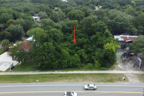 Land in Palm Coast, Florida № 2231831 - photo 7