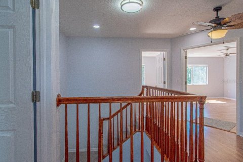 House in Oldsmar, Florida 4 bedrooms, 215.9 sq.m. № 2234317 - photo 9