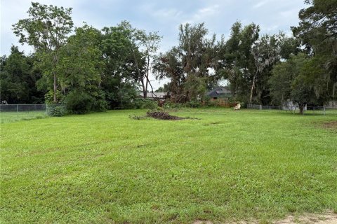 Terrain à Summerfield, Floride № 2225552