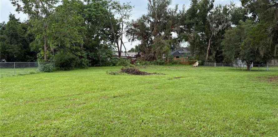 Terrain à Summerfield, Floride № 2225552
