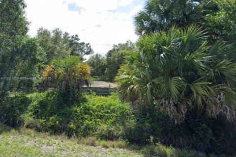 Land in Clewiston, Florida № 2039413 - photo 2