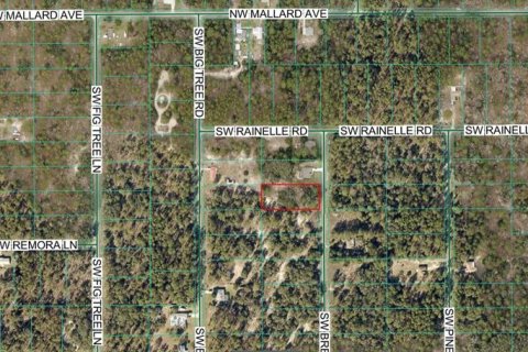Terrain à Dunnellon, Floride № 2207963