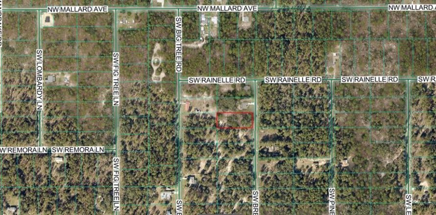 Terrain à Dunnellon, Floride № 2207963