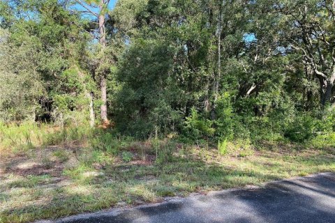 Terrain à vendre à Dunnellon, Floride № 2207963 - photo 2