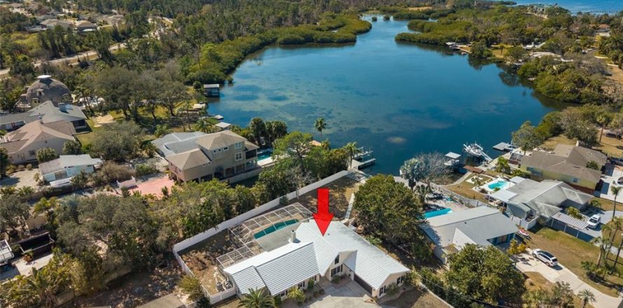 House in Tarpon Springs, Florida 3 bedrooms, 239.97 sq.m. № 2152117