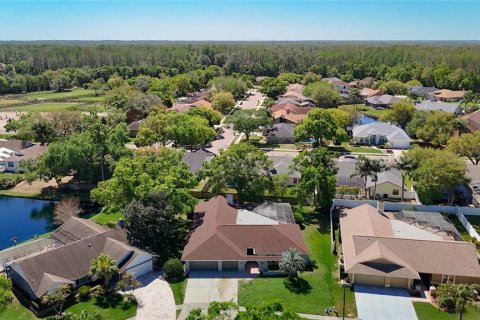 House in Palm Harbor, Florida 4 bedrooms, 271.74 sq.m. № 2273216