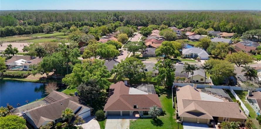 House in Palm Harbor, Florida 4 bedrooms, 271.74 sq.m. № 2273216
