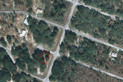 Terreno en Ocklawaha, Florida № 2228986