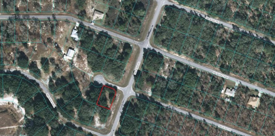 Terreno en Ocklawaha, Florida № 2228986