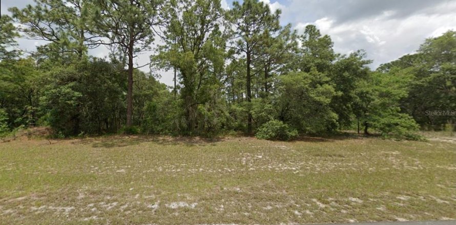 Land in Ocala, Florida № 2206230
