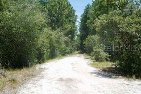 Land in Georgetown, Florida № 2201793