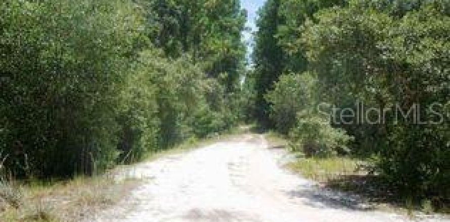 Land in Georgetown, Florida № 2201793