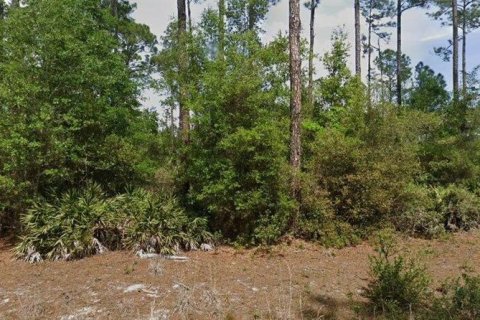 Land in Georgetown, Florida № 2201793 - photo 2
