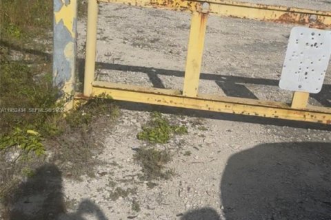 Land in Homestead, Florida № 1990871 - photo 7