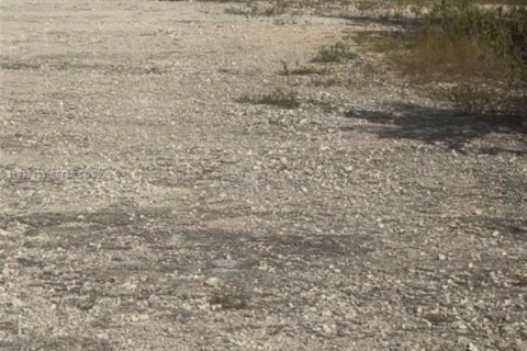 Land in Homestead, Florida № 1990871 - photo 25