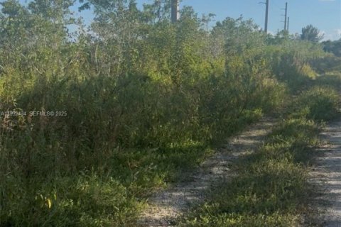 Land in Homestead, Florida № 1990871 - photo 3