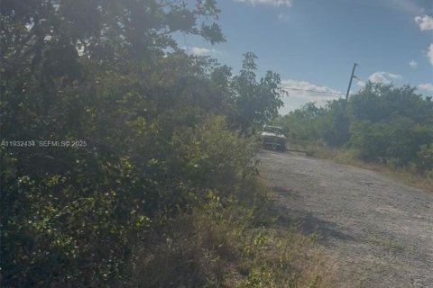 Land in Homestead, Florida № 1990871 - photo 17