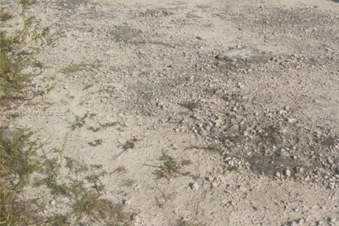 Land in Homestead, Florida № 1990871 - photo 24