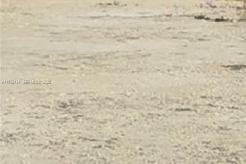 Land in Homestead, Florida № 1990871 - photo 26