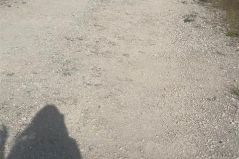 Land in Homestead, Florida № 1990871 - photo 10