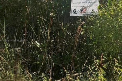 Land in Homestead, Florida № 1990871 - photo 15