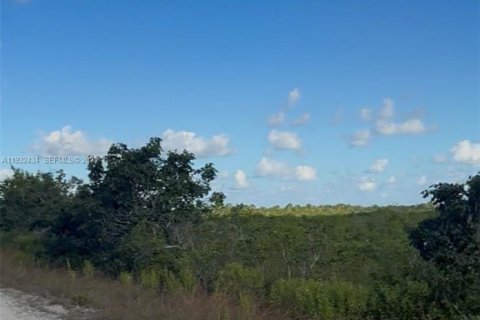 Land in Homestead, Florida № 1990871 - photo 19