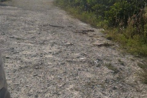 Land in Homestead, Florida № 1990871 - photo 23