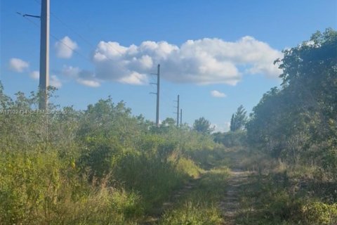 Land in Homestead, Florida № 1990871 - photo 1