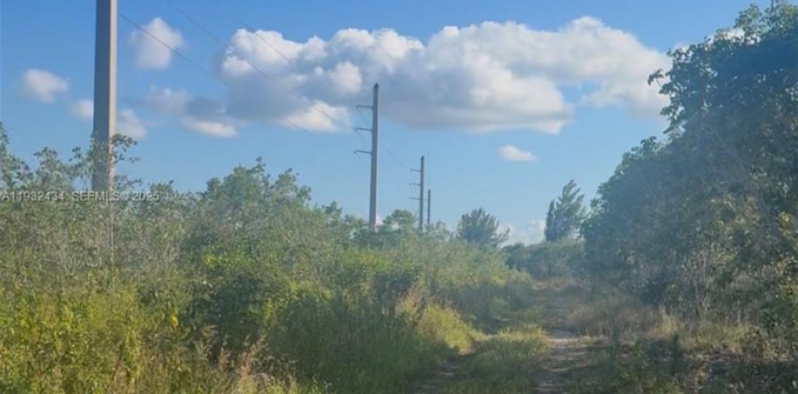 Land in Homestead, Florida № 1990871