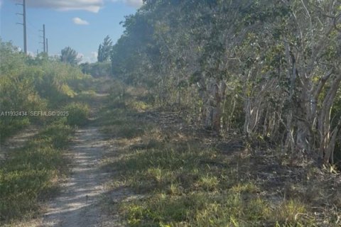 Land in Homestead, Florida № 1990871 - photo 8