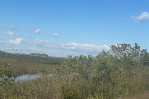Land in Homestead, Florida № 1990871 - photo 18