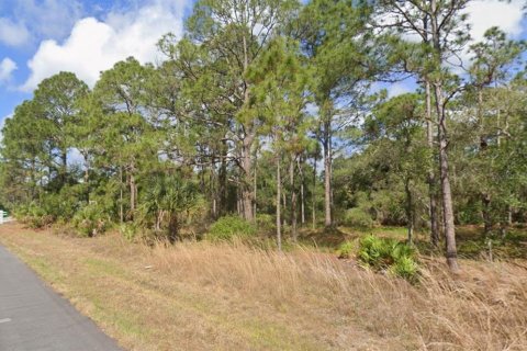 Land in Port Charlotte, Florida № 2228659 - photo 3