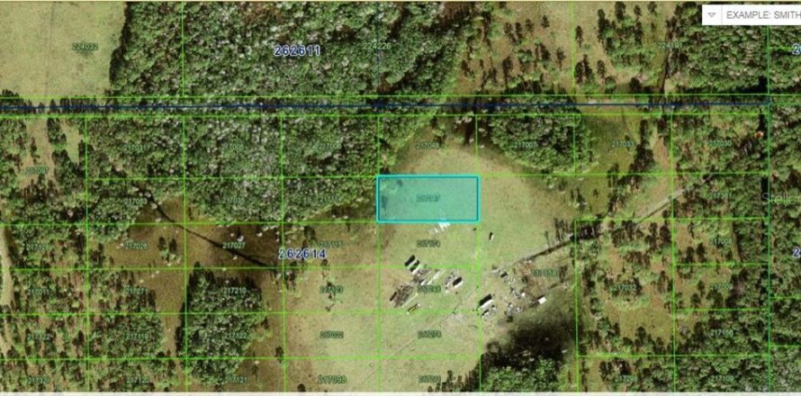 Terreno en Polk City, Florida № 2160733