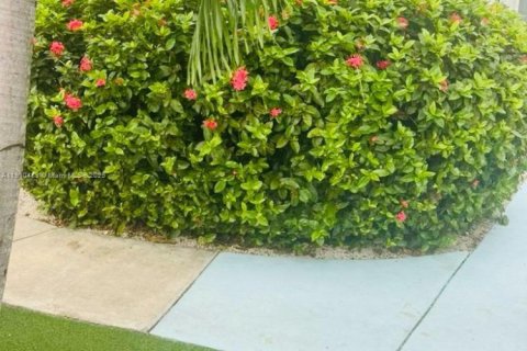 Apartamento en alquiler en Miami Beach, Florida, 46.45 m2 № 1965906 - foto 3