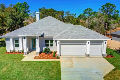 Villa ou maison à vendre à Homosassa, Floride: 4 chambres, 235.41 m2 № 1219355 - photo 3