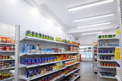 Immobilier commercial à Hialeah, Floride № 2049566