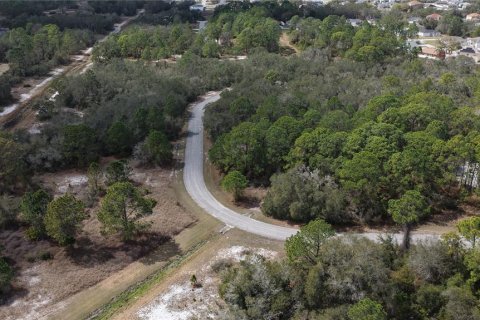 Land in Kissimmee, Florida № 2164990 - photo 8