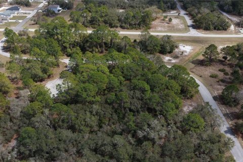 Land in Kissimmee, Florida № 2164990 - photo 10