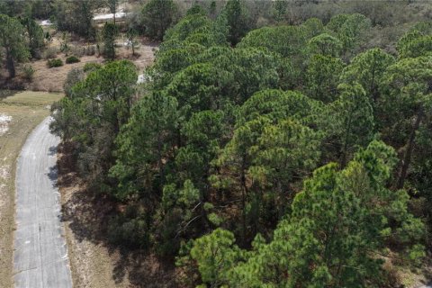 Land in Kissimmee, Florida № 2164990 - photo 17
