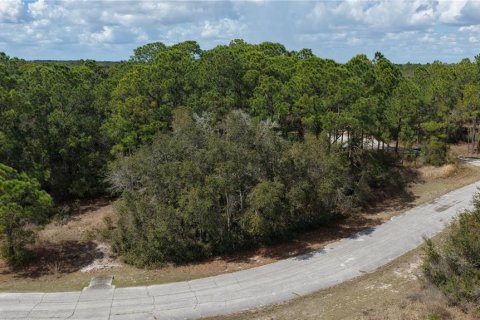 Land in Kissimmee, Florida № 2164990 - photo 5