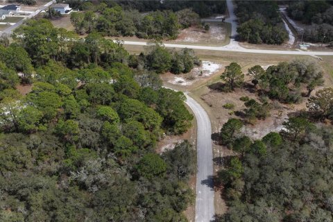 Land in Kissimmee, Florida № 2164990 - photo 11